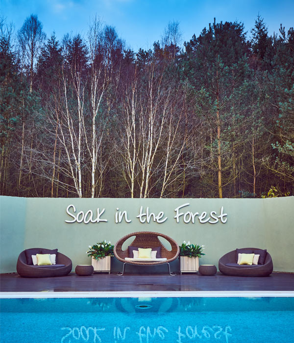 outdoor pool in front of forest