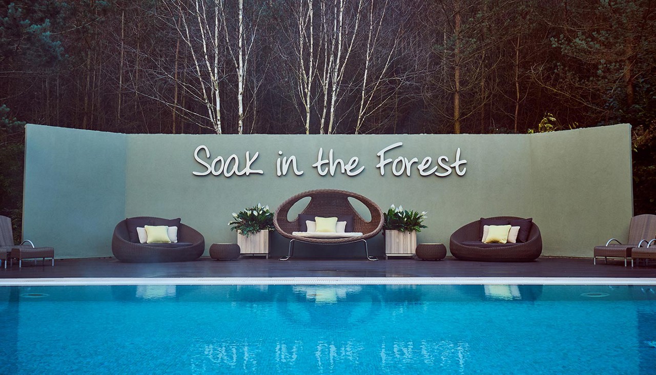Outdoor pool, terrace with comfortable lounge chairs surrounded by the forest.
