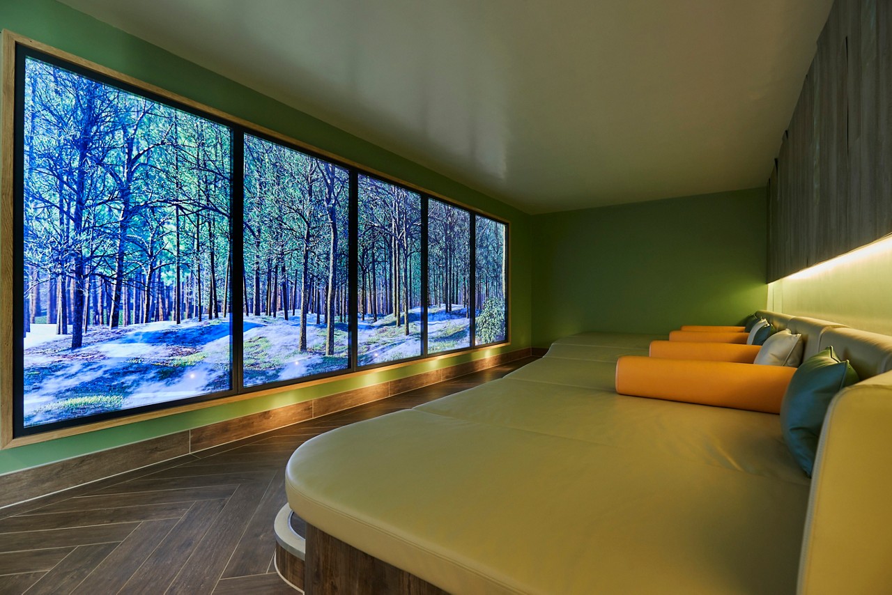 Cushioned lounging bed facing a seasonal view of the forest.