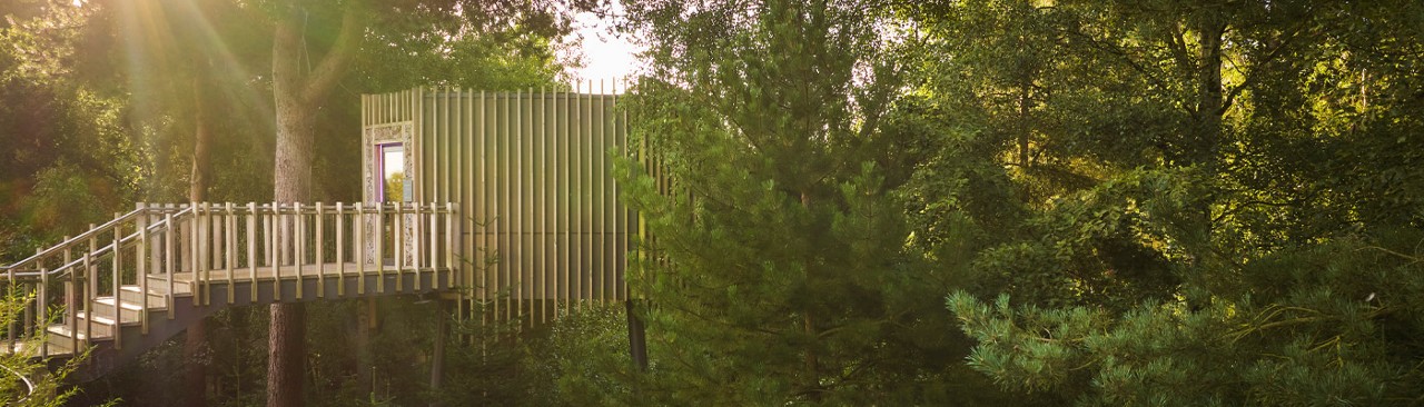 Stairs leading to a sauna nestled in the treetops.