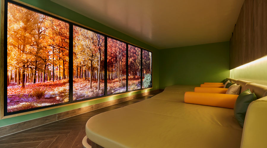 Curved lounging beds with a view of an Autumn forest.