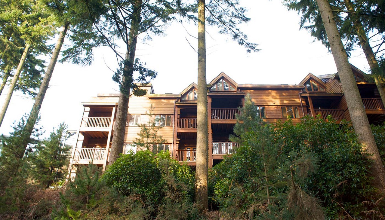 Exterior of wooden apartments surrounded by the forest.