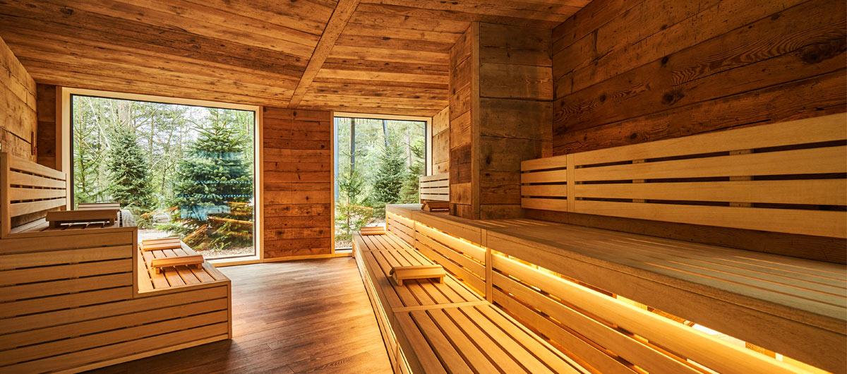 wooden sauna with benches overlooking trees