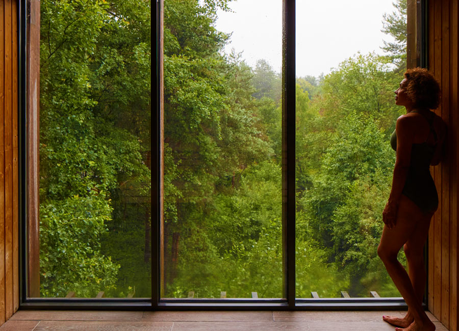 Inside of wooden sauna looking out to the treetops.