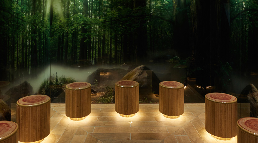 Forest Glade Room