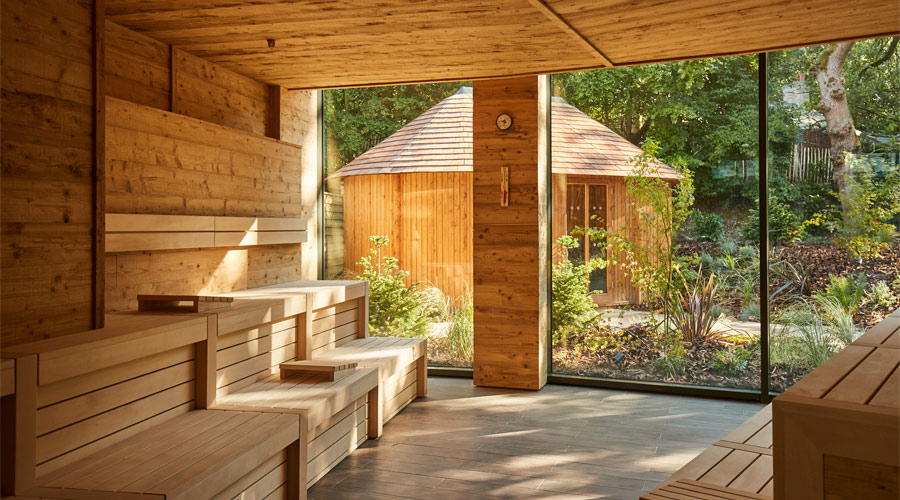 Inside of wooden sauna looking out to a forest garden where a Scandinavian Snug sits.