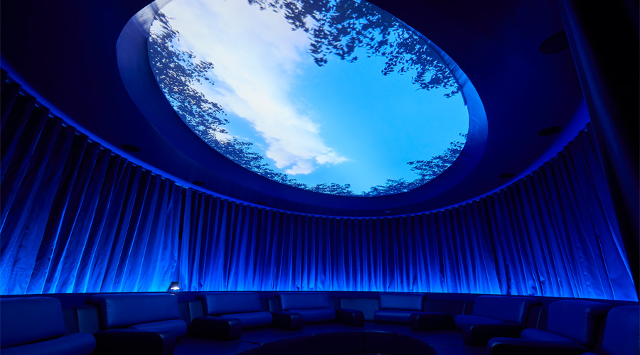 Oval room with comfortable chairs and a glass dome on the ceiling to observe the sky lined with tree branches.