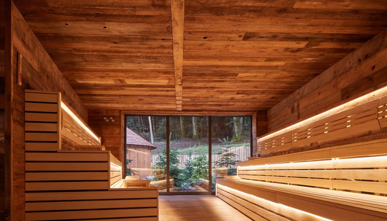 Inside of wooden sauna looking out to a forest garden.