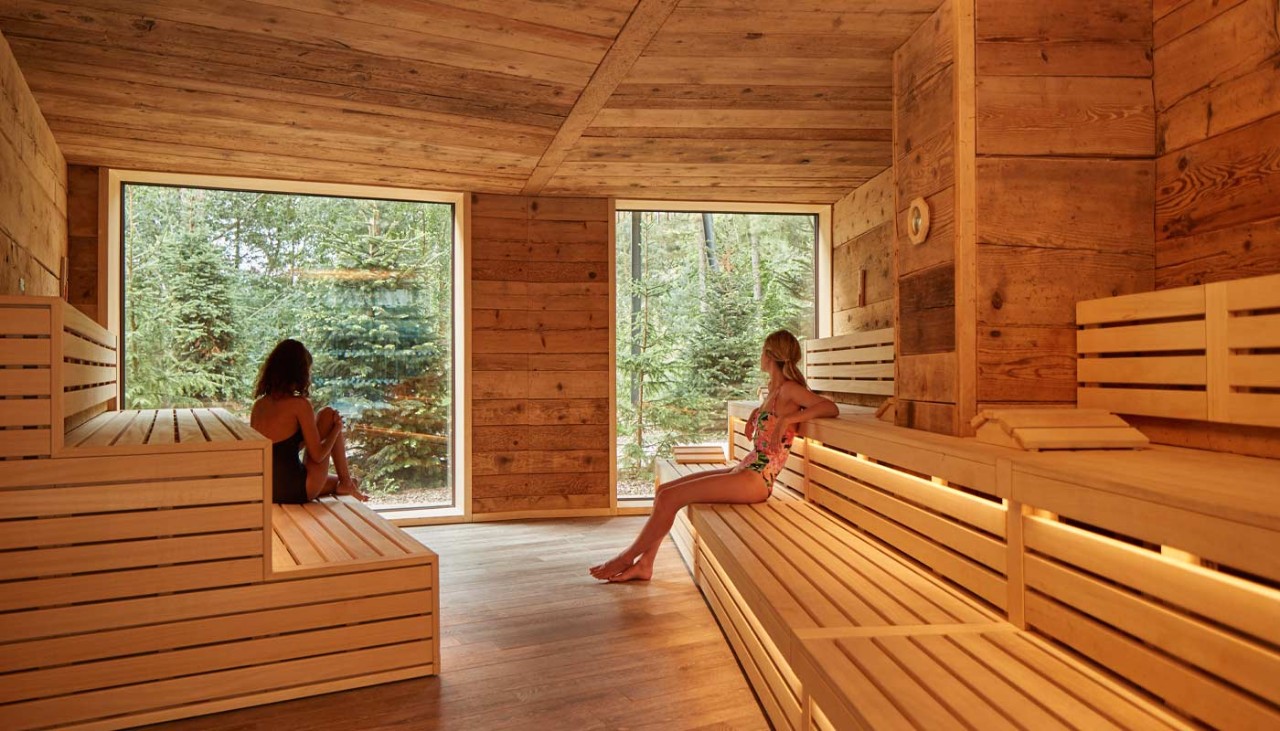 Two ladies relaxing in a wooden sauna with views out to surrounding forest.