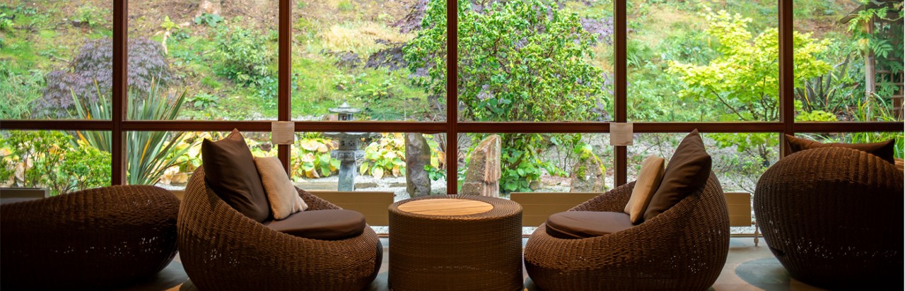 relax area overlooking forest