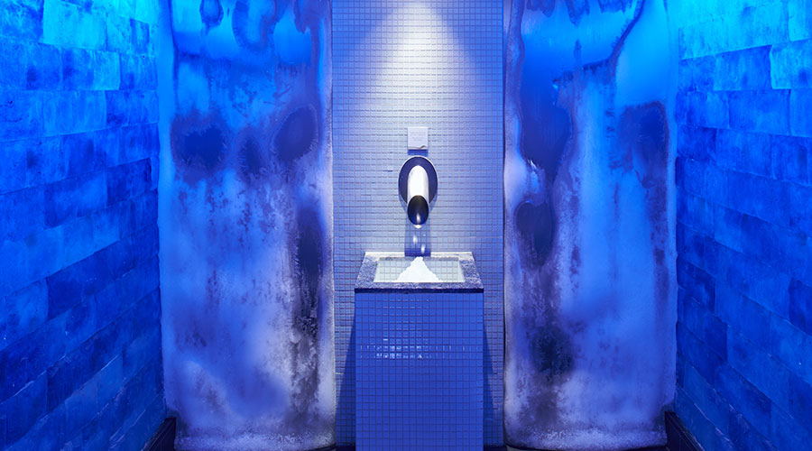 ice experience room