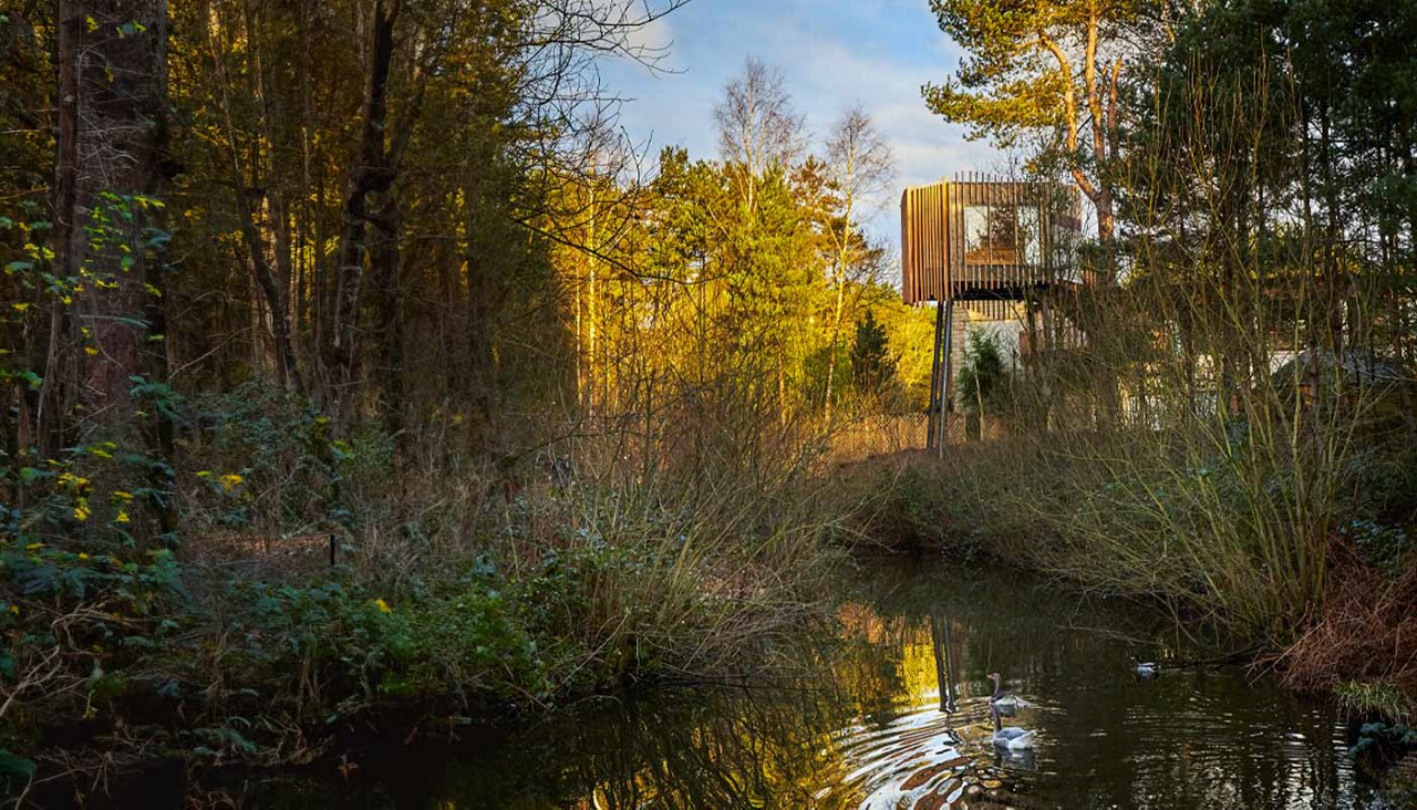 Treetop Sauna nestled in the forest.