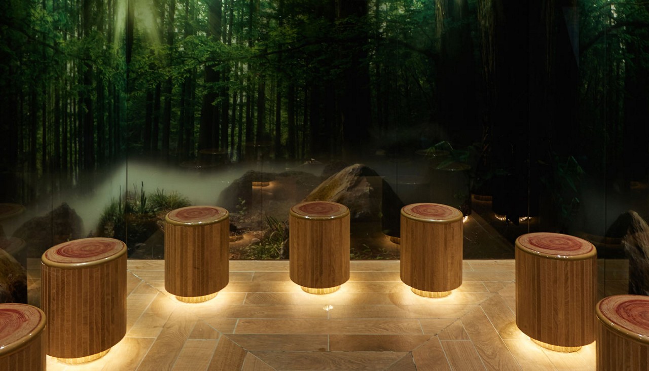 Forest Glade Room