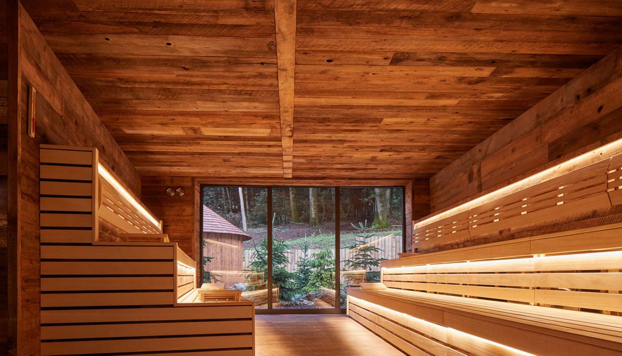 Inside of wooden sauna looking out to a forest garden.