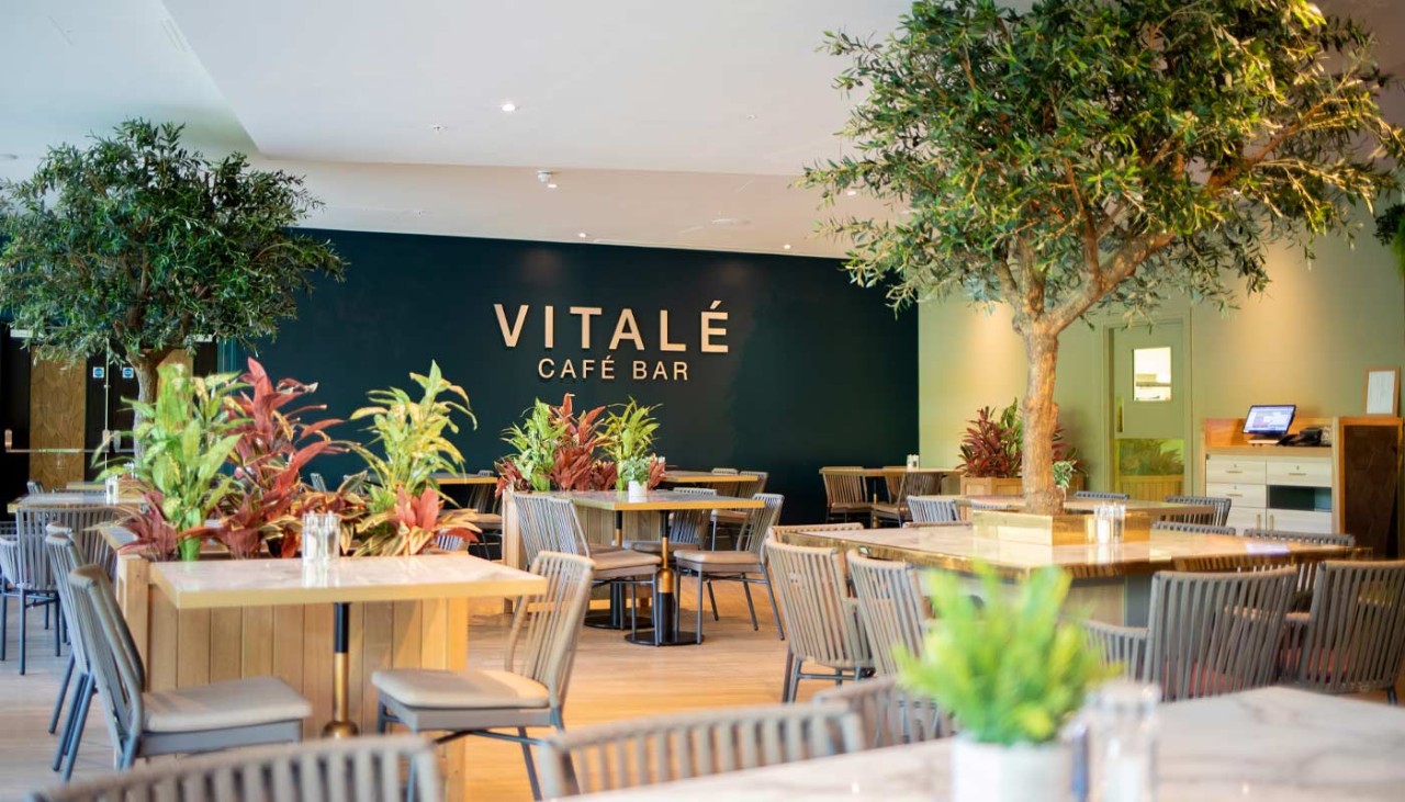 Interior of the Vitalé Café Bar with natural decorations and comfortable seating.